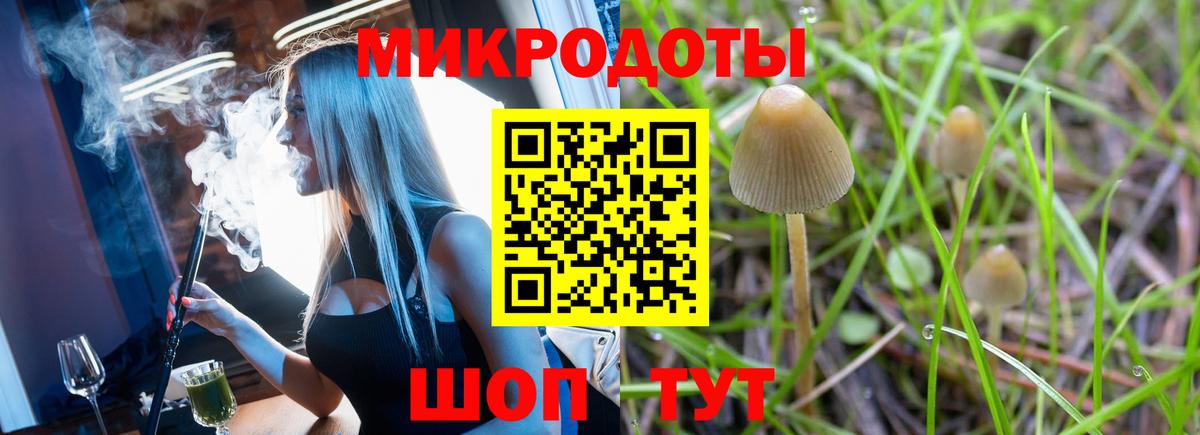 Псилоцибиновые грибы Psilocybine cubensis Королёв
