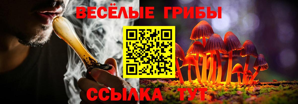 Галлюциногенные грибы GOLDEN TEACHER  Вход с VPN  Королёв  Галлюциногенные грибы GOLDEN TEACHER 
